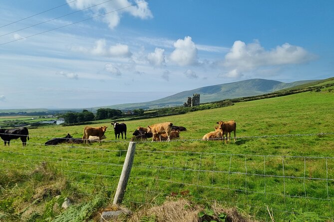 Dingle: Hour Slea Head Drive Tour 4hr - Personal Chauffeur Guide - Coumeenoole Beach, Dun Chaoin, and Clogher Strand