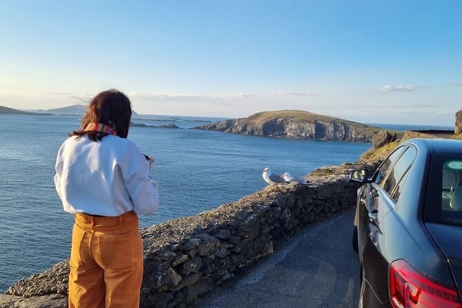Dingle: Hour Slea Head Drive Tour 4hr - Personal Chauffeur Guide - The route from Dingle Harbour to Eask Tower