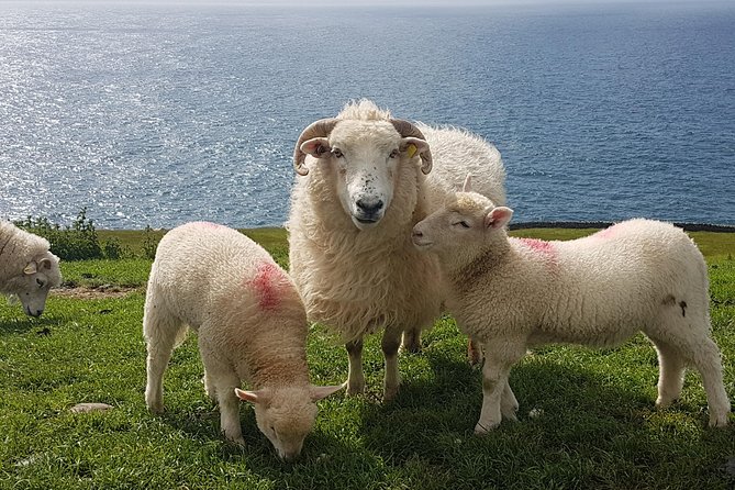 Dingle Peninsula and Slea Head Drive Group Tour - Slea Head Drive and the Blasket Islands