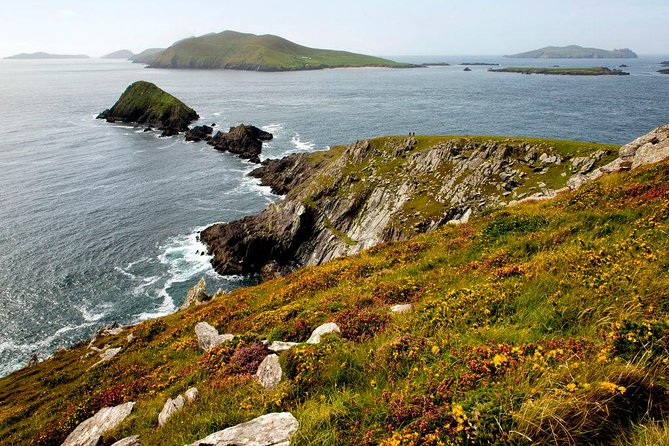 Dingle Peninsula Day Tour from Cork: Including The Wild Altanic Way - Who gets the best value from this tour?