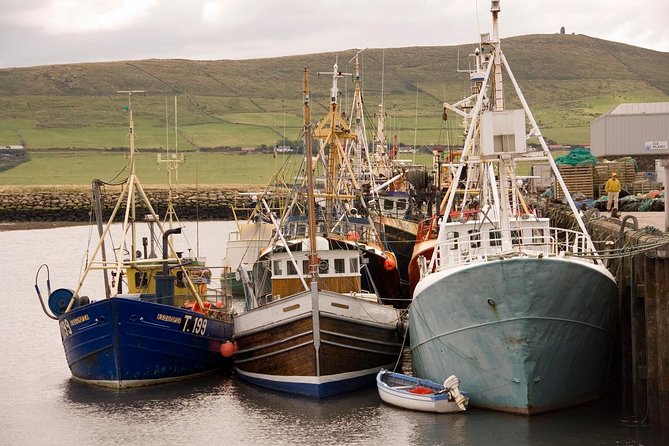 Dingle Peninsula Day Tour from Limerick: The Wild Atlantic Way - Key points to know before booking