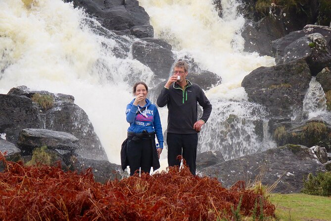 Dingle Peninsula Guided Walking Tour - Key points to know before you book