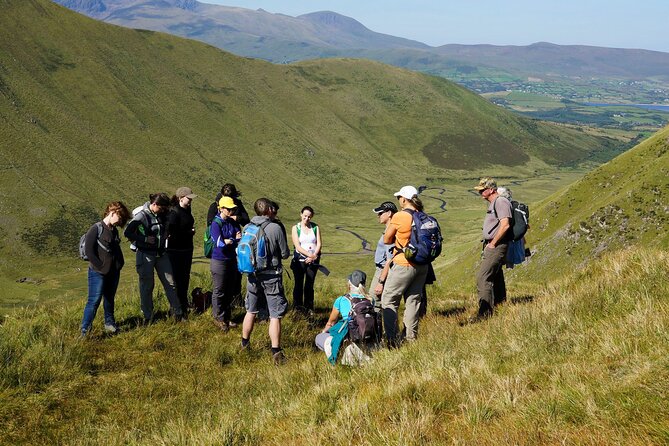 Dingle Peninsula Guided Walking Tour - Is $216.53 per person good value?