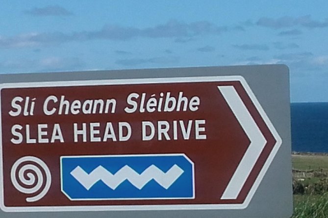 Dingle Peninsula & Slea Head - Private Tour - Conor Pass at 456 metres