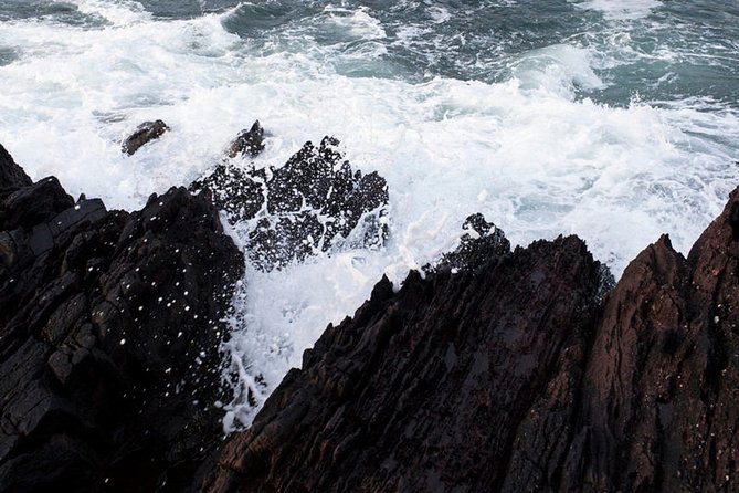 Dingle Peninsula Tour from Killarney: Including Wild Atlantic Way - Why taking the coach can be the right choice