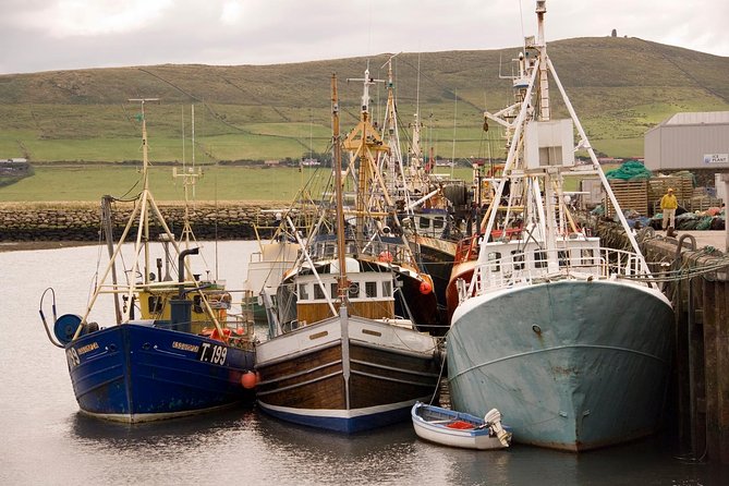 Dingle Peninsula Tour from Killarney: Including Wild Atlantic Way - Guide style can shape the whole day