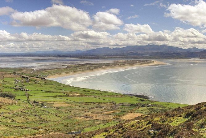 Dingle Peninsula Tour from Killarney: Including Wild Atlantic Way - Price, timing, and the real value