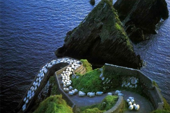 Dingle Peninsula Tour from Killarney: Including Wild Atlantic Way - Inch Beach and the Atlantic wind