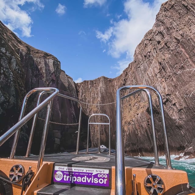 Dingle: Sea Safari by RIB Boat - Key points to know before you book