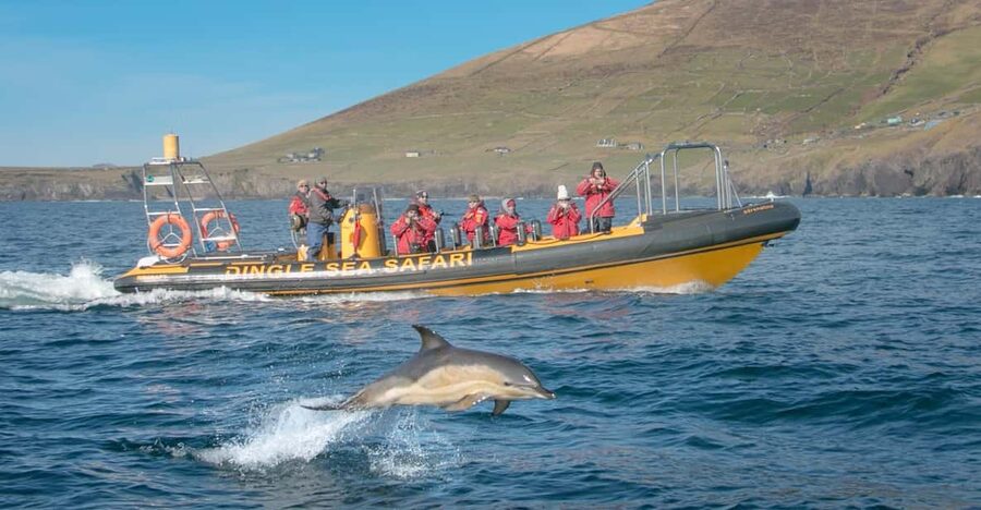 Dingle: Sea Safari by RIB Boat - Leaving Dingle Bay at speed