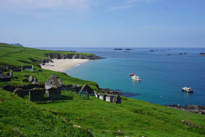 Dingle to Blasket Island Ferry - Wildlife sightings are a welcome extra, not a guarantee
