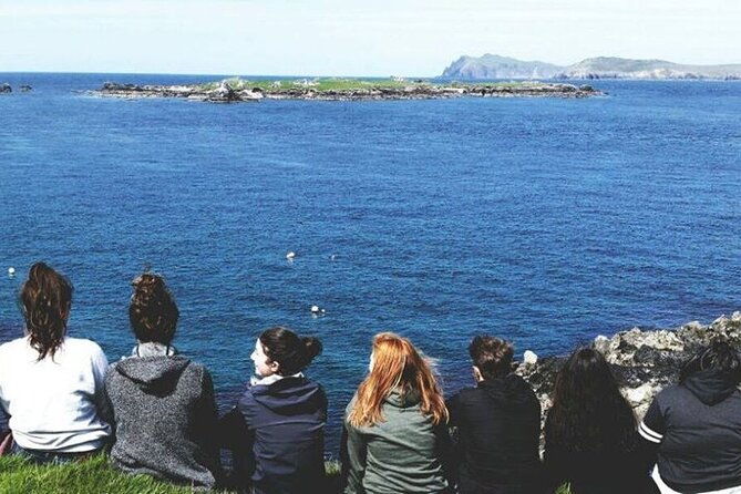 Dingle to Blasket Island Ferry - Group size, language, and the feel of the outing