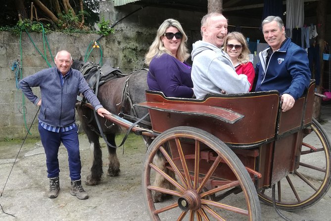 Dingle Town & Peninsula Private Chauffeur Driven Day Tour From Killarney Luxury - Gallarus Oratory and the early Christian past