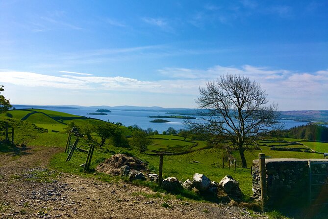 Discover Connemara Tour by Electric Fat Tyre Bike - Key points to know before booking