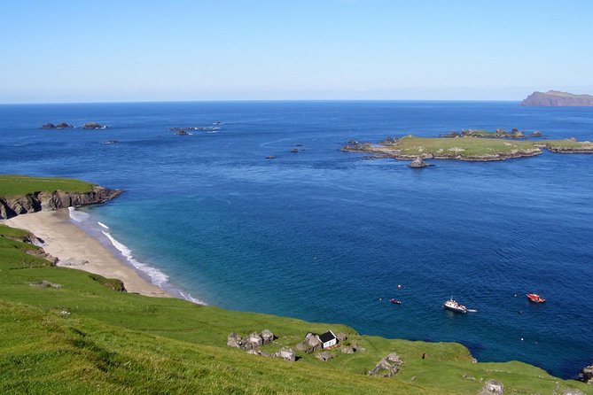 Dolphin and Whale Watching Tour from Dingle - Four hours between Dingle Bay and the open Atlantic