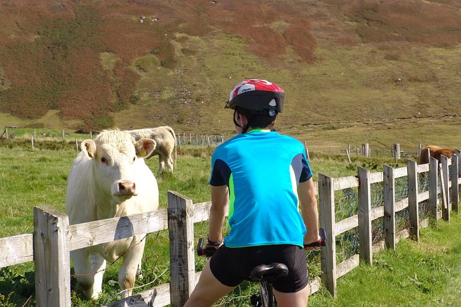 Donegal Coast One Day Self-Guided E-Bike Tour - Why Donegal’s coast works so well by e-bike