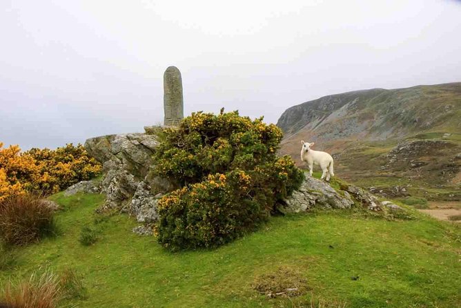Donegal Coast One Day Self-Guided E-Bike Tour - Cloghanmore Megalithic Tomb and the older Donegal