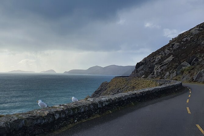 Dublin Airport to Galway ,Private Chauffeur Service - How the price works for one, two, or four people