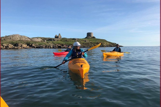 Dublin Bay Seal Kayaking Safari at Dalkey - Key points to know before you book