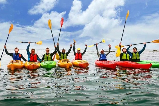 Dublin Bay Seal Kayaking Safari at Dalkey - Dalkey Island, ruins, and the Martello tower
