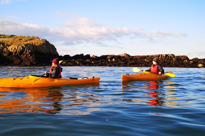 Dublin Bay Seal Kayaking Safari at Dalkey - Guide quality and group care