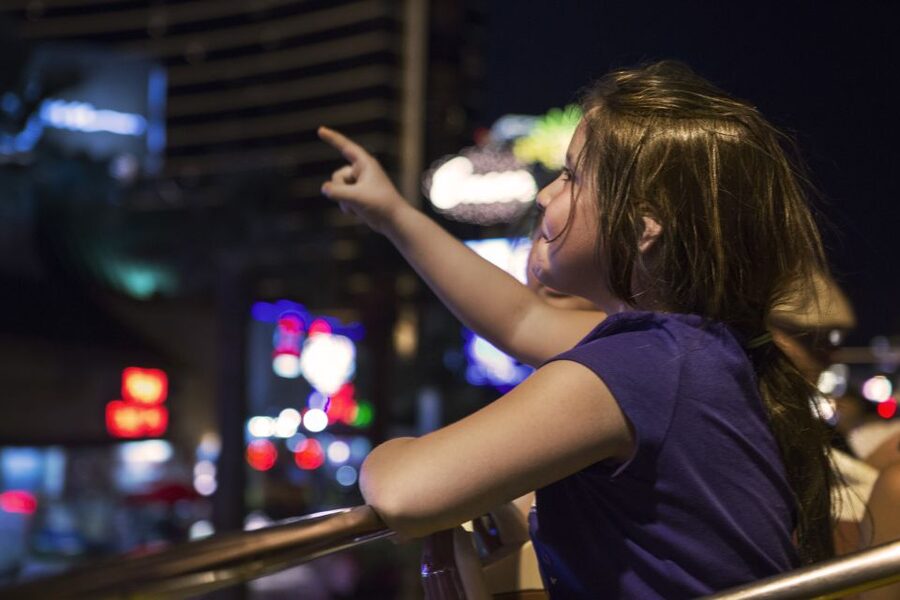 Dublin: Big Bus Panoramic Night Tour with Live Guide - Key points to know before you go