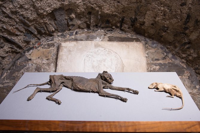 Dublin Christ Church Cathedral Admission Ticket - How long to allow and how to plan the day