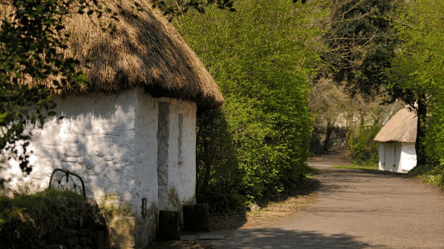 Dublin: Cliffs of Moher, Ennis, & Bunratty Castle Day Tour - Ennis: lunch, music, and a change of pace
