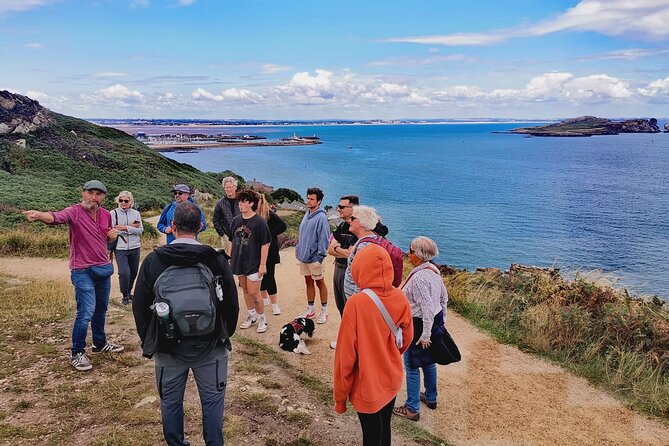 Dublin Coastal Hike, Pints & Puppies Adventure - Howth Summit, with Dublin Bay below