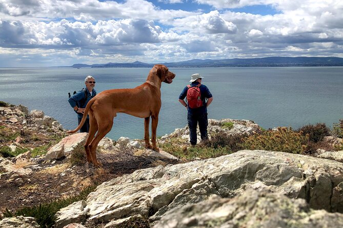 Dublin Coastal Hike with Howth Adventures - St Mary’s Abbey connects the village to Viking-era Howth