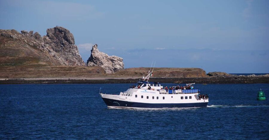 Dublin: Dublin Bay Cruise from Howth to Dun Laoghaire - Aboard the St Bridget for 60 to 70 minutes