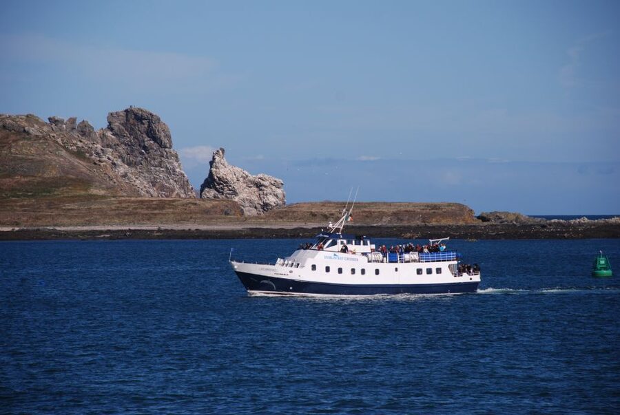 Dublin: Dublin Bay Cruise from Howth to Dun Laoghaire - Starting at Howth’s West Pier