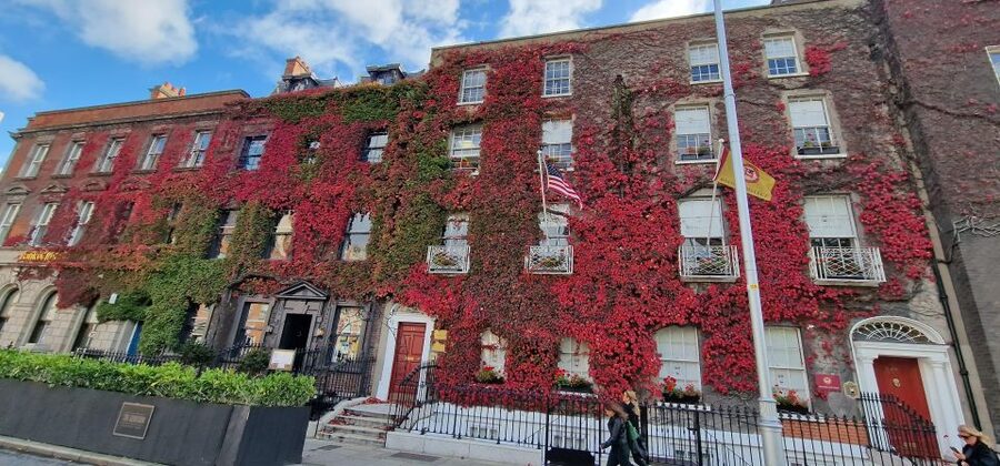 Dublin: Dublin City Highlights Private Guided Walking Tour - Molly Malone and Grafton Street