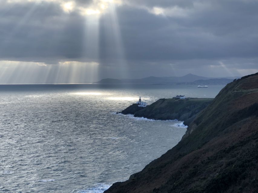Dublin: Dublin Coastal Hike and Pints & Puppies - From the marina to the cliffs