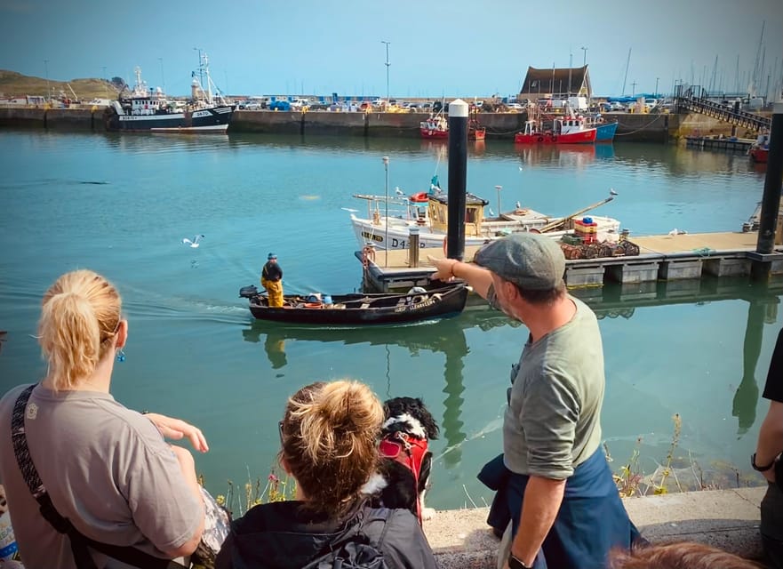Dublin: Dublin Coastal Hike and Pints & Puppies - Watching for seals along the shore