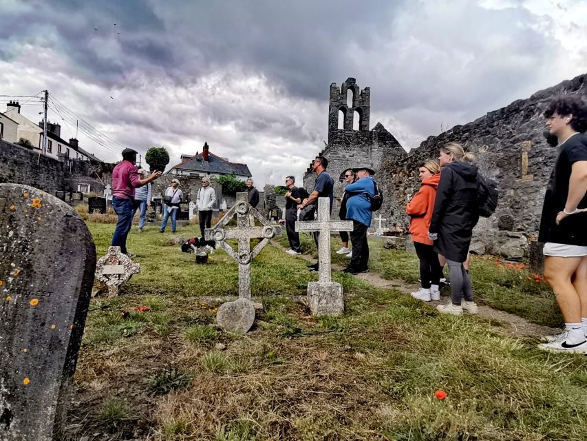 Dublin: Dublin Coastal Hike and Pints & Puppies - Viking raids, Norman invasions, and an old castle