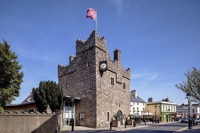 Dublin (Dun Laoghaire) Top-Rated Coastal Walking Tour - Bulloch Harbour, seals, and an old industrial setting