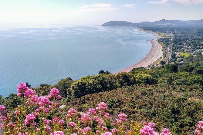 Dublin (Dun Laoghaire) Top-Rated Coastal Walking Tour - People’s Park and the Sunday market