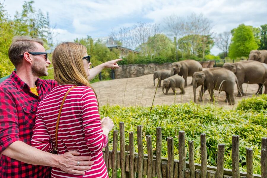 Dublin Explorer Pass: Save up to 50% on 3 to 7 Attractions - Planning a 30-day sightseeing window