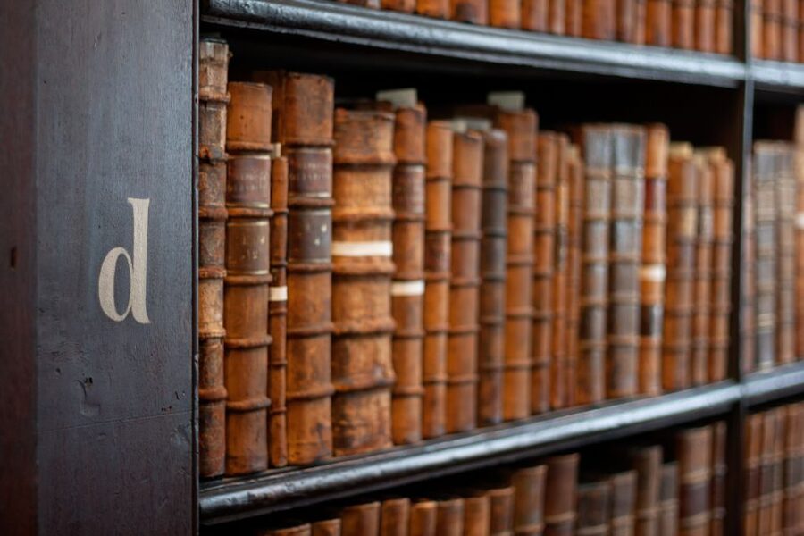 Dublin: Fast-Track Book of Kells Ticket & Dublin Castle Tour - Dublin Castle and its outdoor story