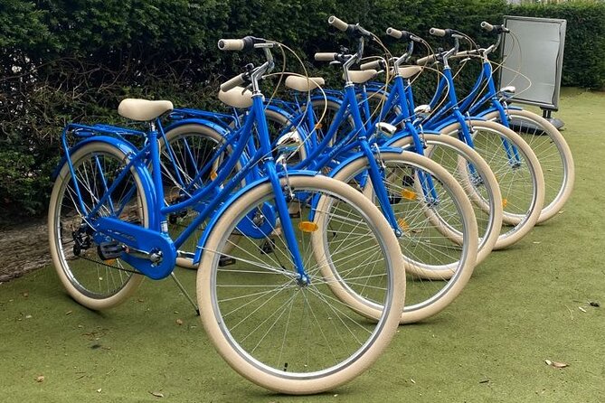 Dublin Full Day Bike Rental - Choosing the right bike for your day