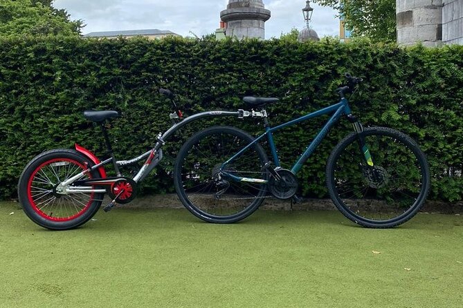 Dublin Full Day Bike Rental - Watching for Phoenix Park’s deer herds