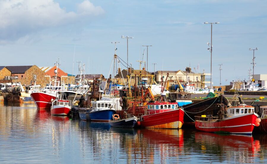 Dublin: Full-Day Howth and Malahide Castle Tour - The villages, parks, and beaches along the way