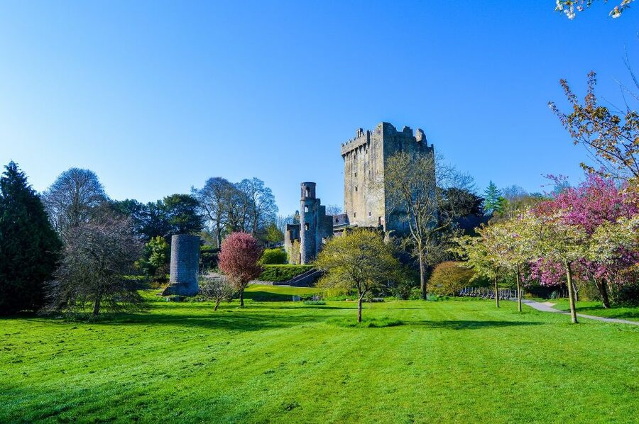 Dublin: Full-Day Tour to Cork, Cobh and Blarney Castle - What your guide adds