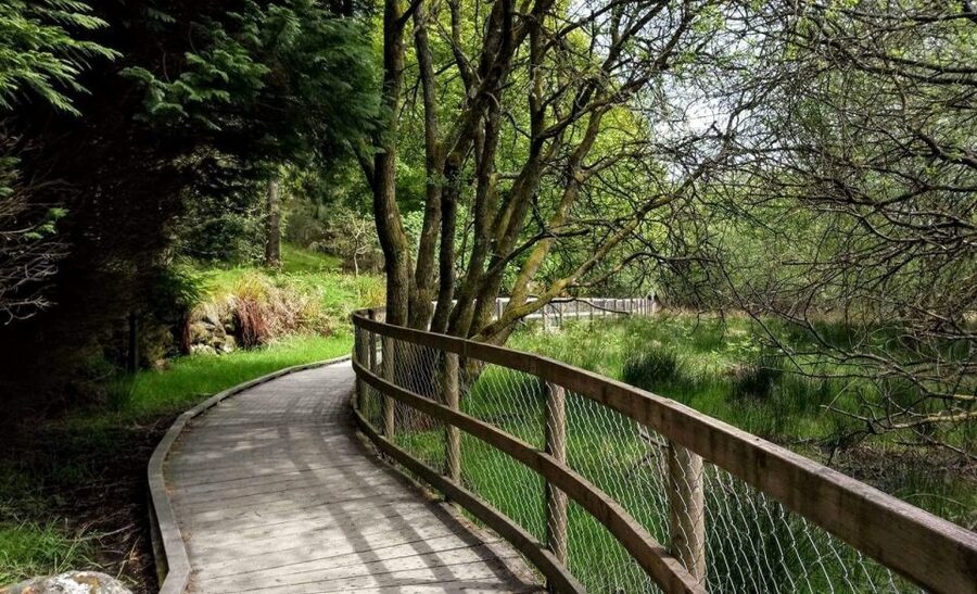 Dublin: Full-Day Wicklow Mountains Tour w/ Glendalough Visit - Who will enjoy this tour most