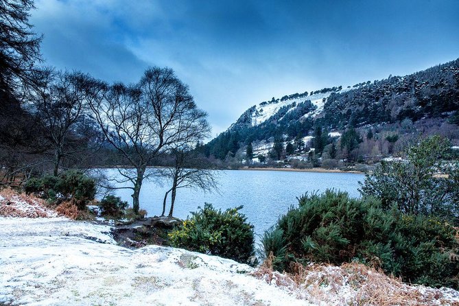 Dublin: Glendalough, Wicklow, Kilkenny and Sheepdog demonstration - Guides, drivers, and the group experience