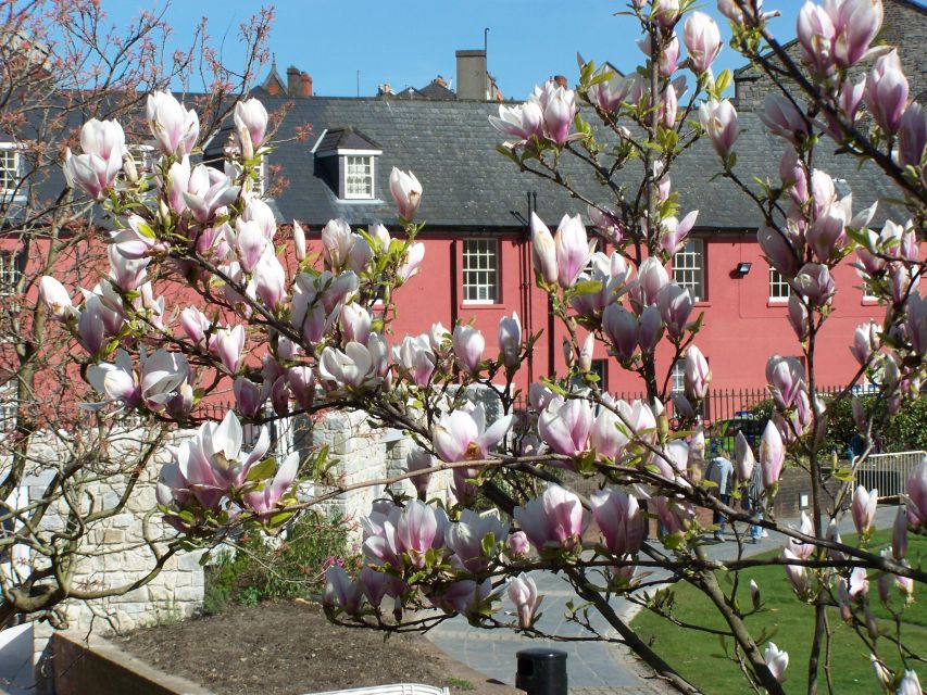 Dublin: Highlights and Hidden Corners Walking Tour - Key points at a glance