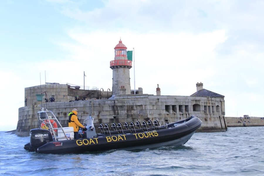 Dublin: History and Wildlife Boat Tour with Live Commentary - Cruising out of Dun Laoghaire Harbour