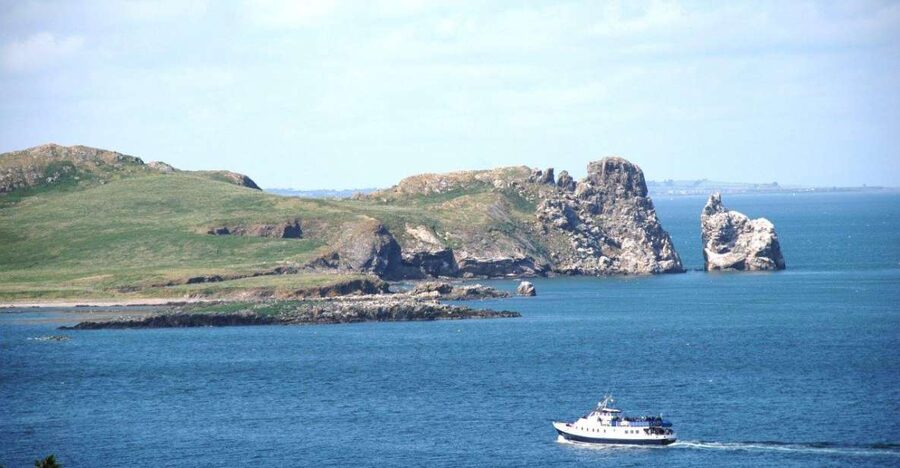 Dublin: Howth Cliffs and Ireland's Eye Boat Cruise - What you see near Ireland’s Eye
