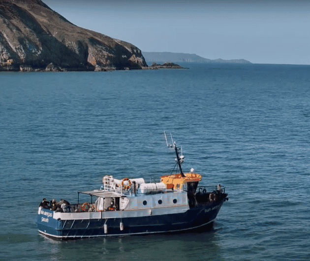 Dublin: Howth Cliffs and Lighthouse Boat Tour - What the live commentary adds